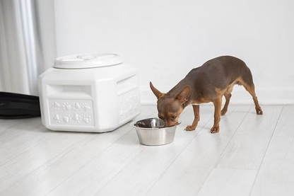 Belleza Pet Food Storage Container