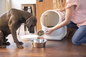 Belleza Pet Food Storage Container